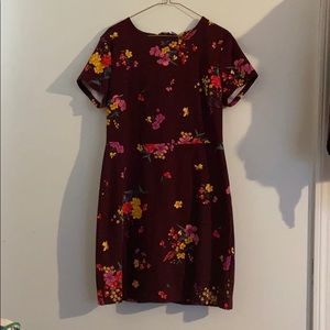 Pointe-knit sheath dress
